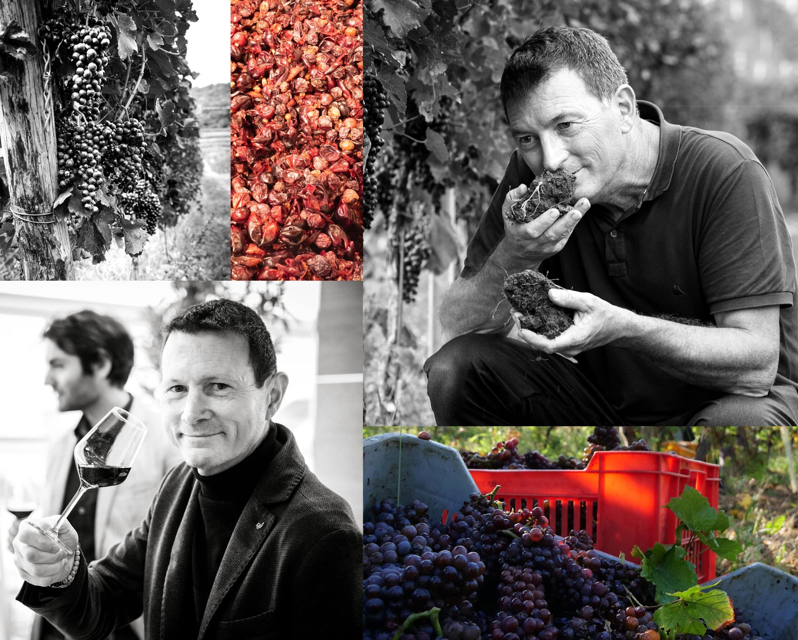 Collage di alcune immagini di Villa Domizia